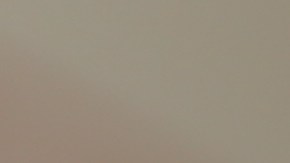 Los lotes de burritos y wraps de desayuno listos para comer suman 91,585 libras.