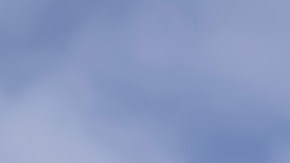 Funcionario de CDC aseguró que a Trump "no le gustó" oposición a sus "ideas no científicas"