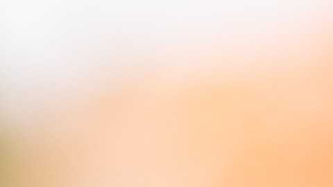 Los tazones de camarón y linguini se distribuyeron en todo el país.