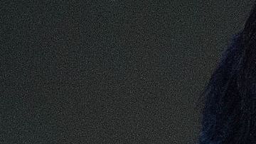 Julio César Chávez rompió el silencio sobre su detención.