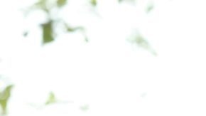 El entrenador de fútbol alemán Jürgen Klopp.