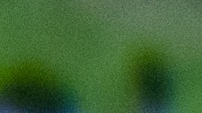 El elenco de bailarines y músicos compartirá una historia universal de amor inspirada en las tradiciones folclóricas mexicanas.