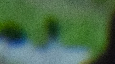 El elenco de bailarines y músicos compartirá una historia universal de amor inspirada en las tradiciones folclóricas mexicanas.