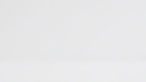 David Foster y Yolanda Hadid se casaron en 2011 y anunciaron su separación en 2015.