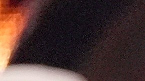 Demi Lovato se casó con Jutes en mayo.