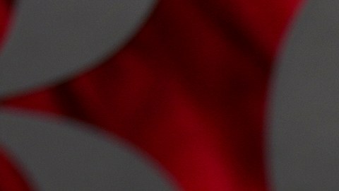 Dove Cameron y Damiano David hicieron pública su relación en febrero de 2024.