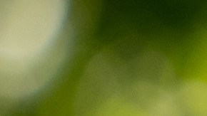 Pasaporte infantil EE.UU.