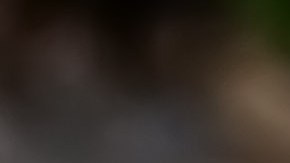 Las espinacas fueron distribuidas en todo el país.