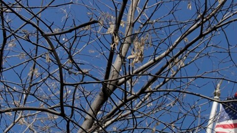 El IRS aumentó el monto máximo que las personas pueden ganar a través del EITC para 2026.