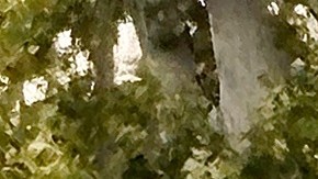 El robo en el Museo del Louvre desnudó la vulnerabilidad de los sistemas de vigilancia de las salas.