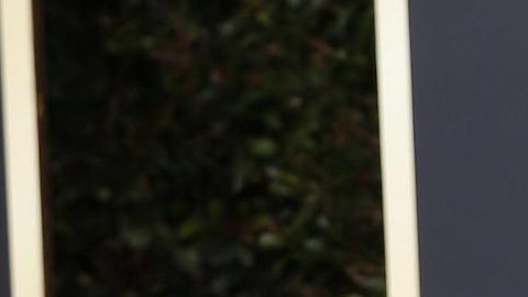 Ellen DeGeneres y su esposa hicieron reformas en el sitio.