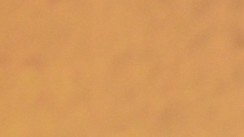 Emma Stone compró esta casa cuando decidió mudarse a Texas.