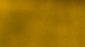 Las ensaladas se distribuyeron en 24 estados del país.