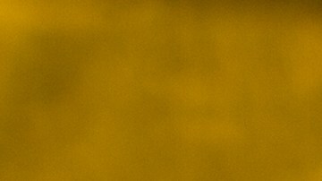 Las ensaladas se distribuyeron en 24 estados del país.