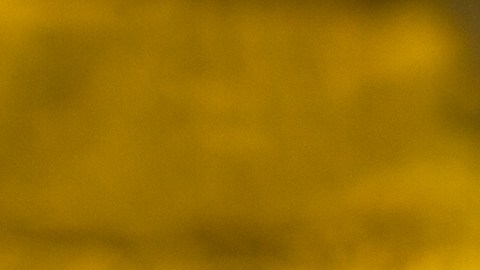 Las ensaladas se distribuyeron en 24 estados del país.