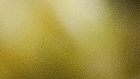 Las ensaladas fueron distribuidas en 28 estados del país.