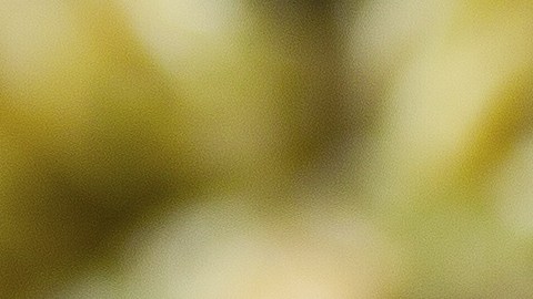Las ensaladas fueron distribuidas en 28 estados del país.