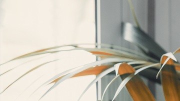 Existen varios factores que te ayudarían a tener una negociación exitosa para un aumento de sueldo.