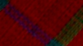 Puedes hacer el flan en moldes individuales o uno más grande.