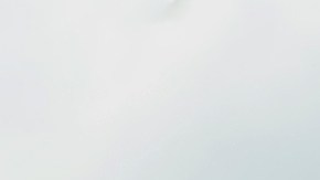 Los asistentes al Food Network New York City Wine & Food Festival (NYCWFF) pondrá disfrutar de actividades hasta el domingo 19 de octubre.