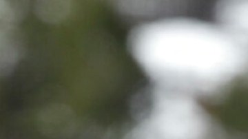 Fracking en Colorado