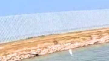 Sumarán más elementos y recursos para vigilar la frontera sur.