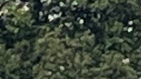 La representante María Elvira Salazar.