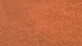 Zohran Mamdani promete impulsar a los negocios latinos y minorías.