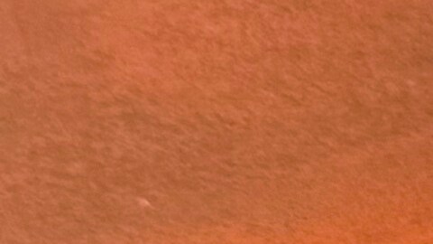 Zohran Mamdani promete impulsar a los negocios latinos y minorías.