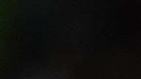 Pablo Bennevendo apuesta por el pase de Pumas a la Liguilla.