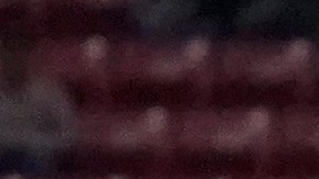 Selección mexicana presenta intenso plan de preparación para el Mundial.