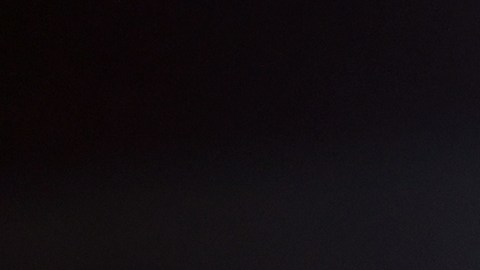 Domenec Torrent logra marca de 20 alineaciones diferentes.