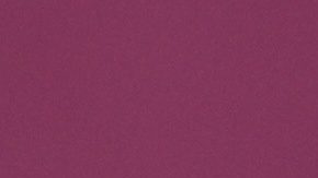 El tackle ofensivo de los San Francisco 49ers, Isaac Alarcón.