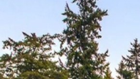 Jeff Bezos vendió su mansión en Seattle para radicar permanentemente en Miami, con su esposa Lauren Sánchez.