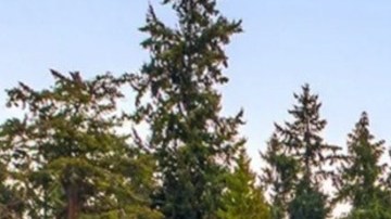 Jeff Bezos vendió su mansión en Seattle para radicar permanentemente en Miami, con su esposa Lauren Sánchez.