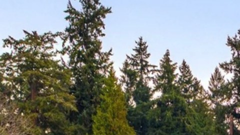 Jeff Bezos vendió su mansión en Seattle para radicar permanentemente en Miami, con su esposa Lauren Sánchez.