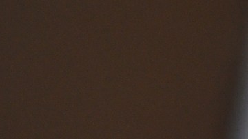 Jim Carrey no ha dado declaraciones sobre el tema.