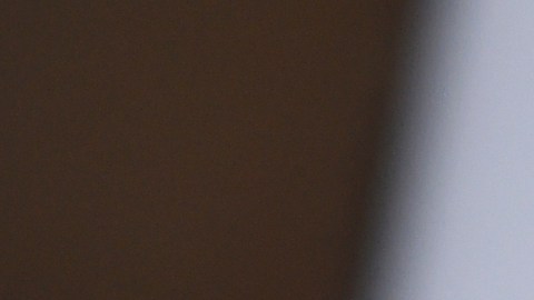 Jim Carrey no ha dado declaraciones sobre el tema.