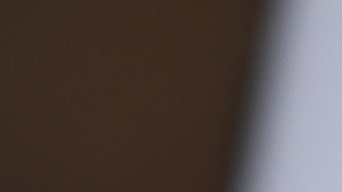 Jim Carrey no ha dado declaraciones sobre el tema.