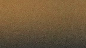 Portero español del Inter de Milán, Josep Martínez.