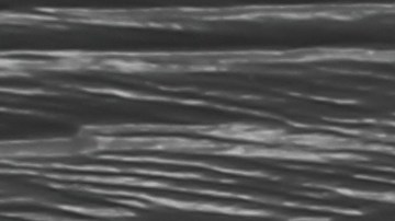 La remolacha contiene biocompuestos que ayudan a oxigenar las células de los músculos y mejoran el rendimiento.