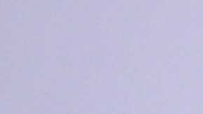 Los rumores sobre la cercanía entre Katy Perry y Justin Trudeau comenzaron en julio.