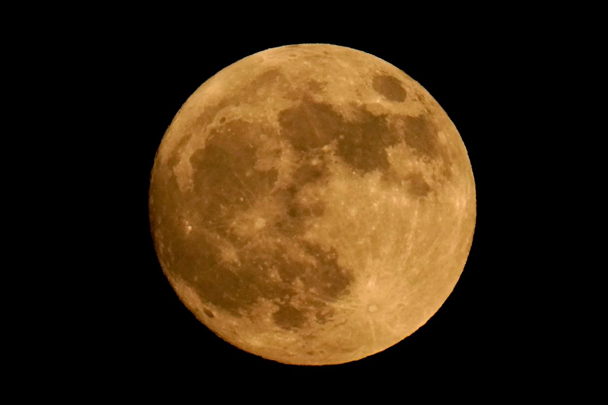 La Superluna de Cosecha iluminará el cielo esta noche: guía completa para observarla desde Nueva York