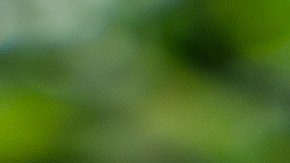 Un toque de vinagre ayuda a mejorar la digestión de las lentejas.