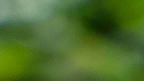 Un toque de vinagre ayuda a mejorar la digestión de las lentejas.