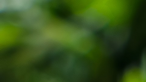 Un toque de vinagre ayuda a mejorar la digestión de las lentejas.
