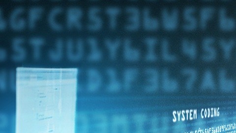 Los adultos mayores y los beneficiarios de los programas sociales son los más vulnerables de sufrir un fraude cibernético o una estafa telefónica.