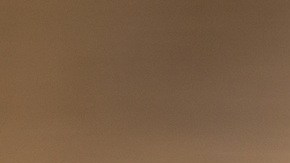 Los visones son altamente valorados por su piel, aunque su crianza y comercialización se ha reducido considerablemente.