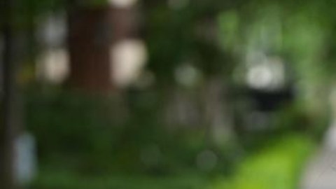 Luciana Ortega recibe un reconocimiento por su trayectoria en la industria musical.