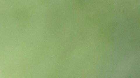 Marc Anthony cambió el precio del apartamento en varias ocasiones.